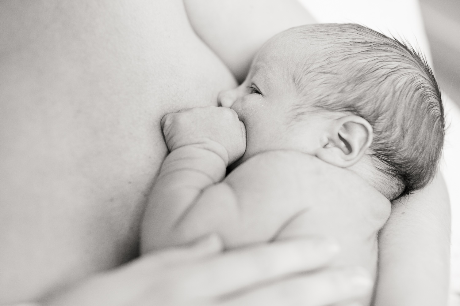 Winnipeg newborn photography osw 005